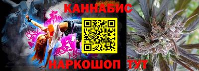 крисы Малгобек