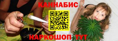 крисы Малгобек