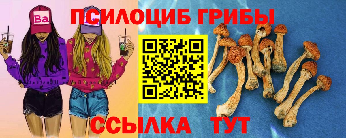 наркошоп  Вход с VPN  Черняховск  Галлюциногенные грибы ЛСД 
